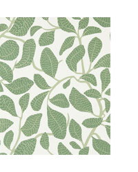 SWEET BAY WP NSCW113268 SCN FOREST by   