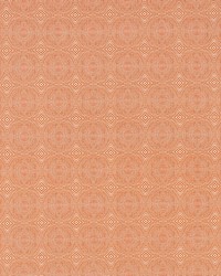 Kateri NSPW131242 SCN Tangerine by  Naugahyde 