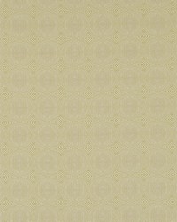 Kateri NSPW131243 SCN Lime by  Naugahyde 