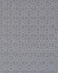 Kateri NSPW131249 SCN Charcoal by  Naugahyde 