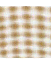 Ragdale NSWE134639 SCN Barley by   