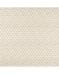Taimi NSWE134648 SCN Pebble by   