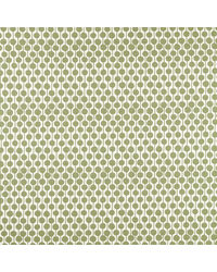 Taimi NSWE134649 SCN Pine by   