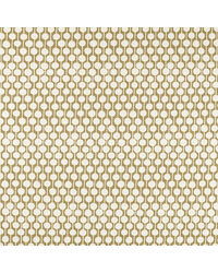 Taimi NSWE134650 SCN Barley by   