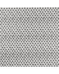 Taimi NSWE134651 SCN Slate by   