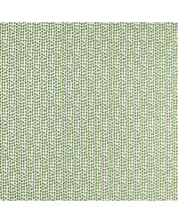 Sorrel NSWE134657 SCN Forest by   