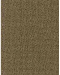 Nuostrich 106  by  Kravet 