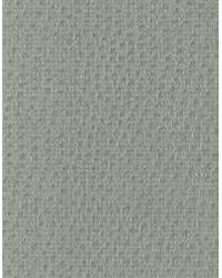 Nuostrich 11  by  Kravet 