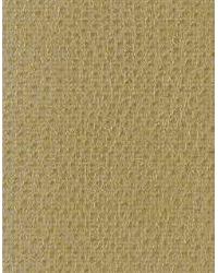 Nuostrich 16  by  Kravet 