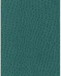 Nuostrich 35  by  Kravet 