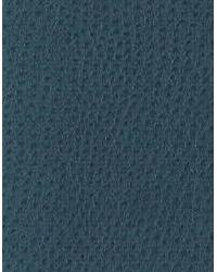 Nuostrich 5  by  Kravet 