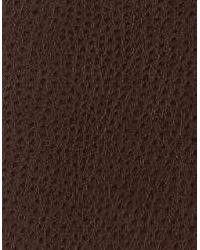 Nuostrich 6  by  Kravet 