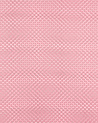 Forma NZAC132929 SCN Flamingo by  Naugahyde 