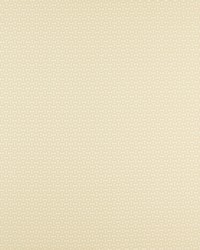 Forma NZAC132931 SCN Pebble by  Naugahyde 