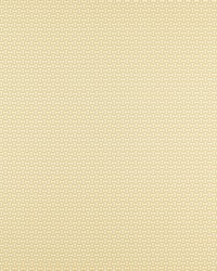 Forma NZAC132934 SCN Raffia by  Naugahyde 