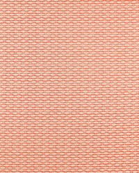 Samaki NZAC132938 SCN Paprika by  Naugahyde 