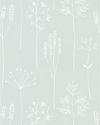 Stipa NZAW112020 SCN Frost by   