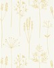 Kravet Wallcovering STIPA HONEY