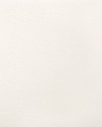 Optima 101 Powder by  Kravet 