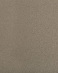 Optima 106 Portabello by  Kravet 