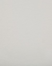 Optima 11 Dove by  Kravet 