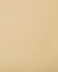 Optima 116 Cashew by  Kravet 