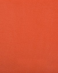 Optima 12 Nectarine by  Kravet 