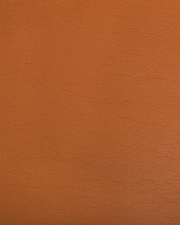 Optima 124 Clay by  Kravet 