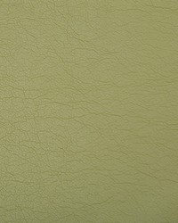 Optima 130 Green Tea by  Kravet 