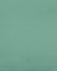 Optima 135 Robins Egg by  Kravet 