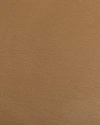 Optima 16 Toffee by  Kravet 