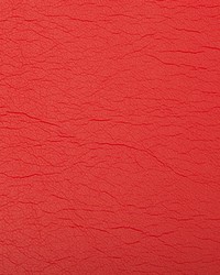 Optima 19 Rhapsody by  Kravet 