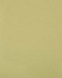 Optima 23 Wasabi by  Kravet 