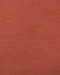 Optima 24 Terra Cotta by  Kravet 