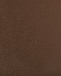 Optima 6 Pecan by  Kravet 