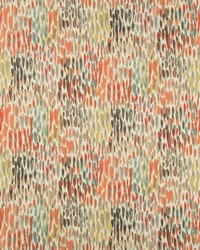 KRAVET BASICS PHENOMENON 1221 by  Kravet 