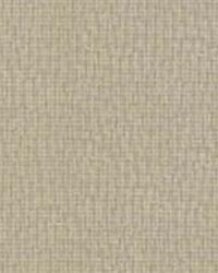 Pinwheel 16  by  Kravet 