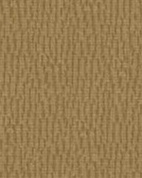 Pinwheel 4  by  Kravet 