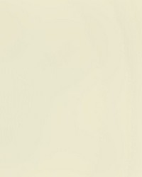 Rambler 1 Bone by  Kravet 