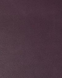 Rambler 10 Aubergine by  Kravet 