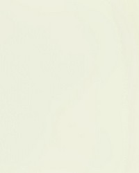 Rambler 101 Cloud by  Kravet 