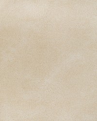 Rambler 1116 Muslin by  Kravet 