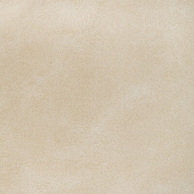 Kravet Rambler 1116 Muslin RAMBLER.1116 Beige Upholstery -  Blend Fire Rated Fabric