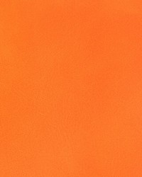 Rambler 12 Casaba by  Kravet 