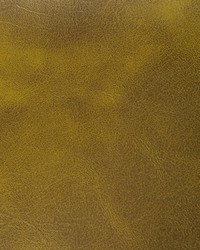 Rambler 130 Cactus by  Kravet 