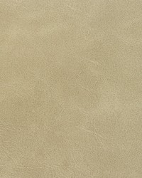 Rambler 16 Prairie by  Kravet 