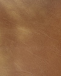 Rambler 166 Saddle by  Kravet 