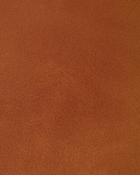 Rambler 24 Canyon by  Kravet 