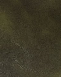 Rambler 30 Clove by  Kravet 