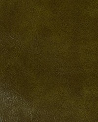 Rambler 303 Olive Branch by  Kravet 